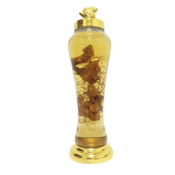 Rượu củ tươi Sâm Ngọc Linh ngâm bình